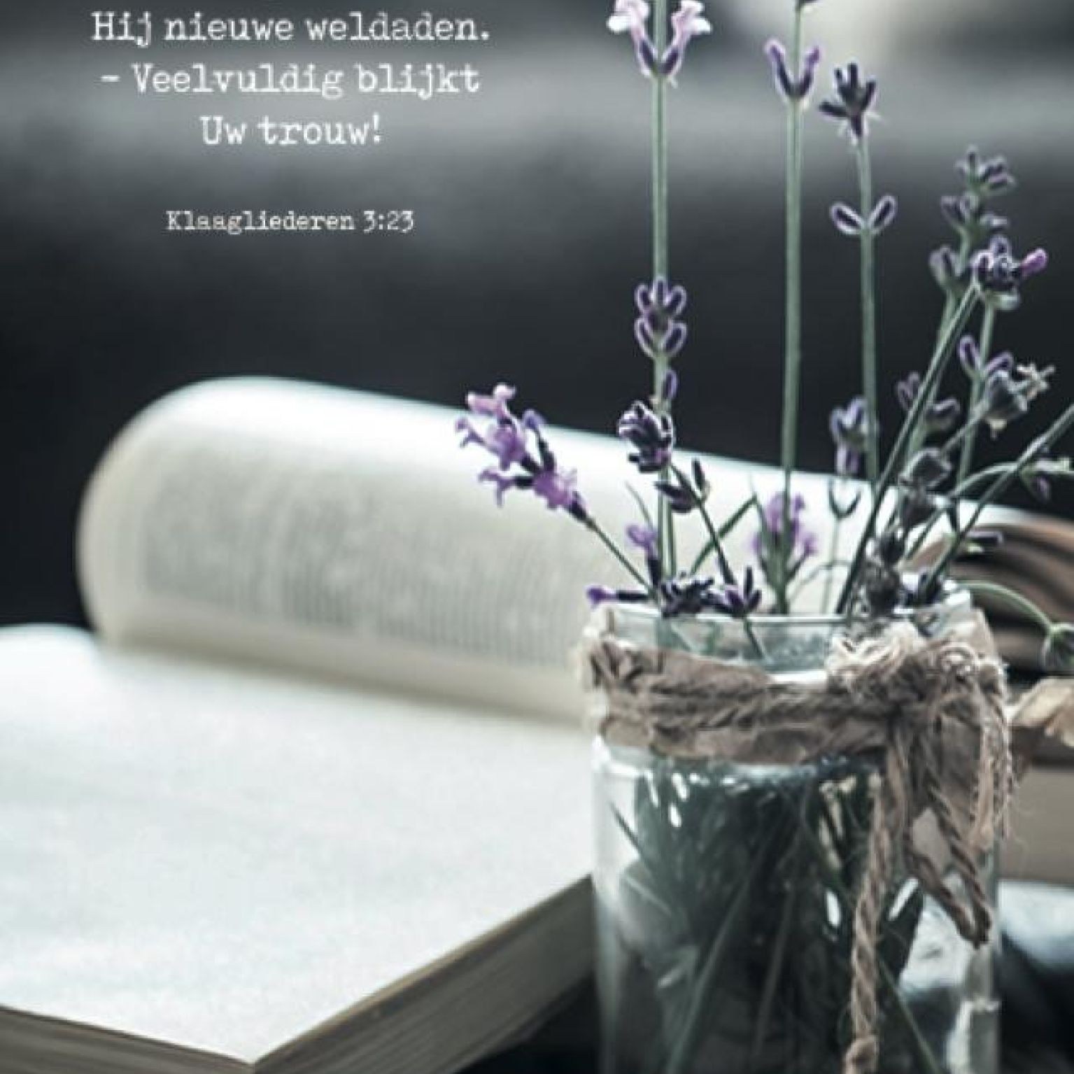 Poster A4 'Elke morgen schenkt Hij nieuwe weldaden' - MA37115 -  Posters A4 bij MajesticAlly