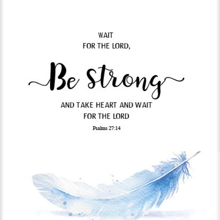 Sponsorpakket  'Beautiful day' voor 2 kippen - MA25000S -  Voordeelpakjes bij MajesticAlly