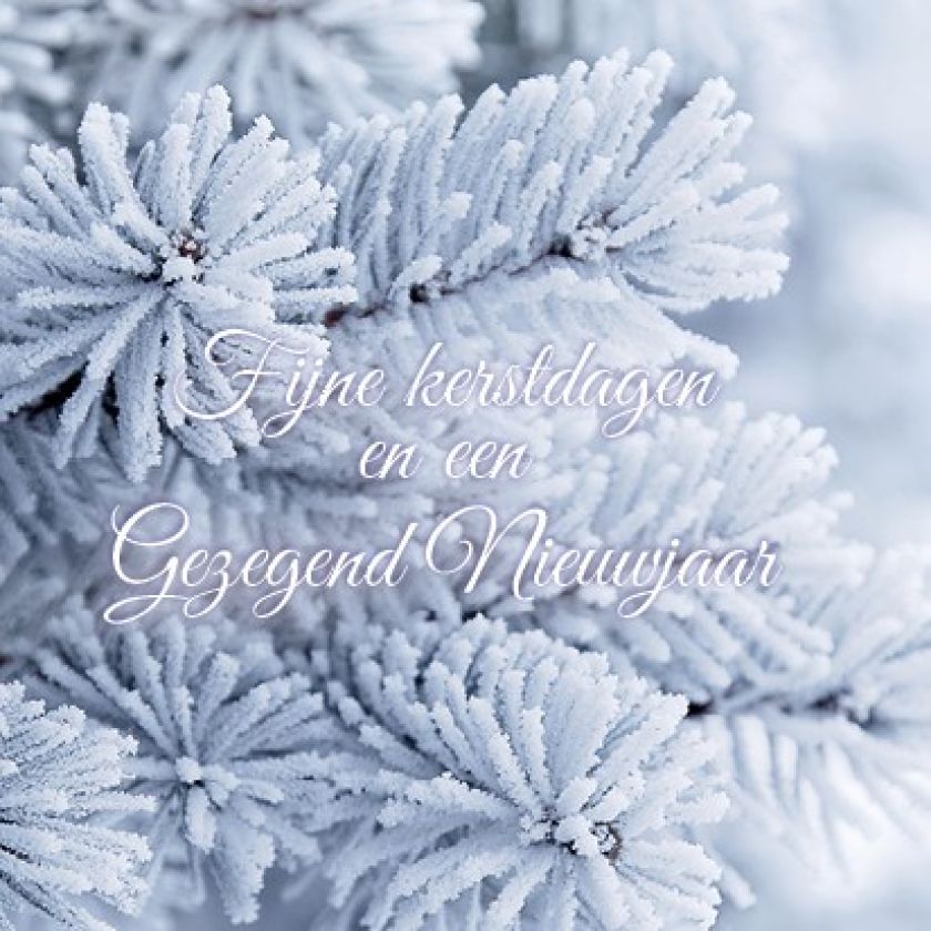 Voordeelpakje kerstkaarten 'Frozen 1' - 6 stuks - MA26057 -  Voordeelpakjes kerst bij MajesticAlly