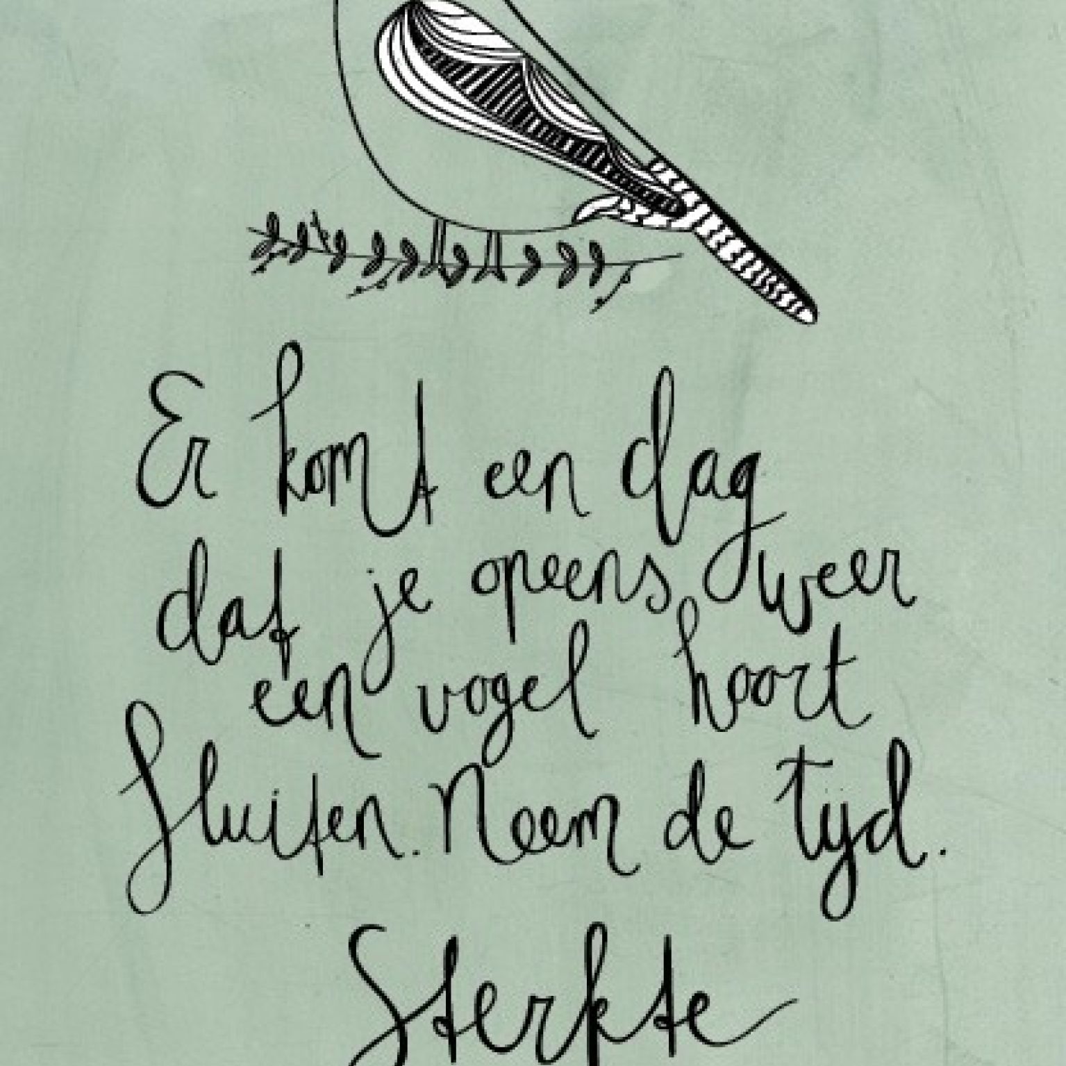 Sterkte - 552793 -  Sterkte & Deelneming bij MajesticAlly