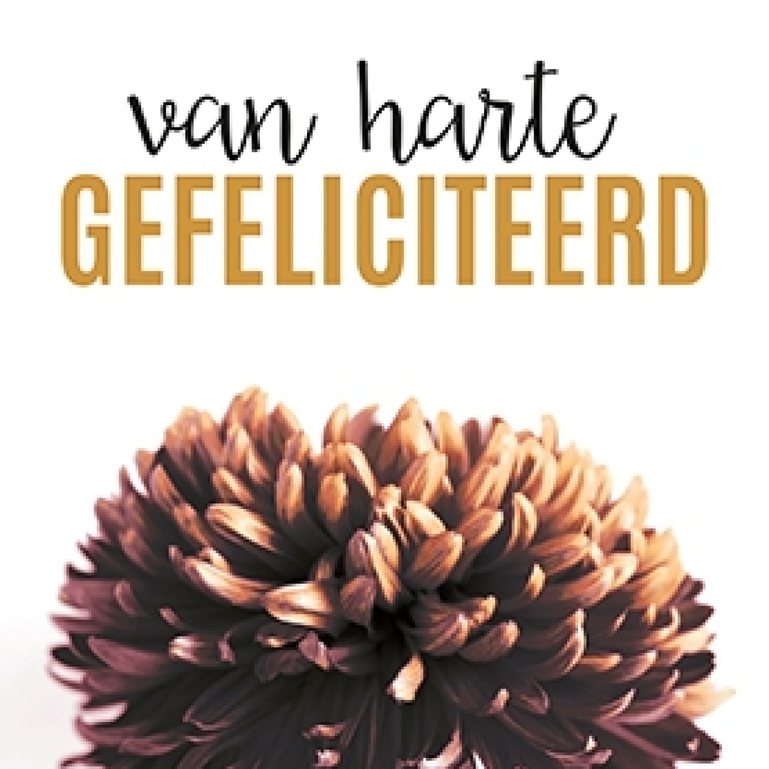 Van harte gefeliciteerd - 552558 -  Kaarten bij MajesticAlly
