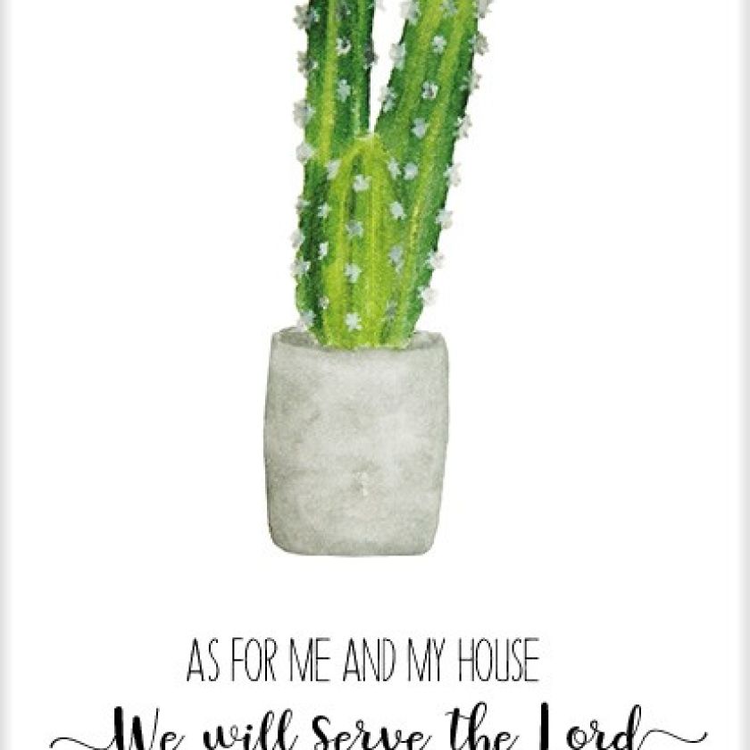 * Voordeelpakket  Beautiful Day 8 kaarten - MA895 -  Kaartenseries bij MajesticAlly