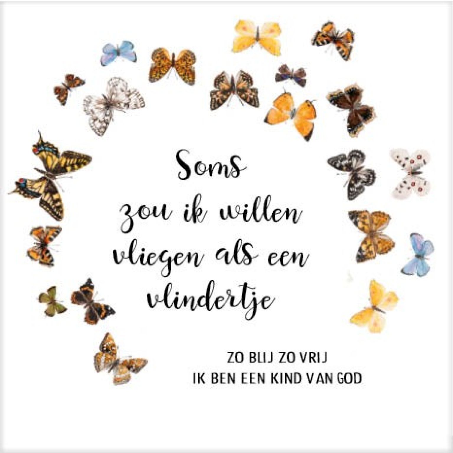 Cadeaubordje vlindertje - MA17617 -  Cadeaubordjes klein bij MajesticAlly