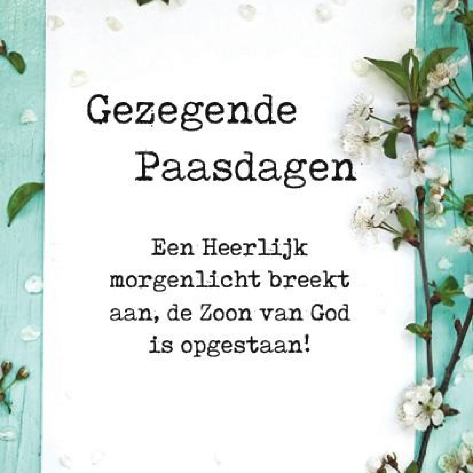 Voordeelkaart 'Gezegende paasdagen - morgenlicht' - MA38032 -  Pasen bij MajesticAlly