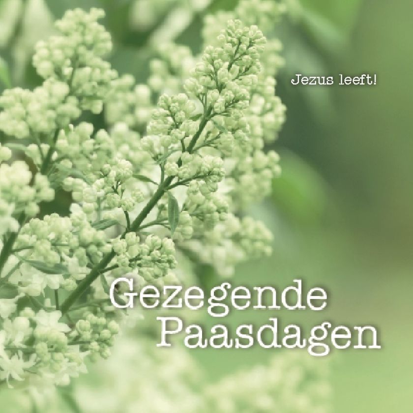 Kaart gezegende Paasdagen Jezus leeft! - MA12317 -  Pasen bij MajesticAlly