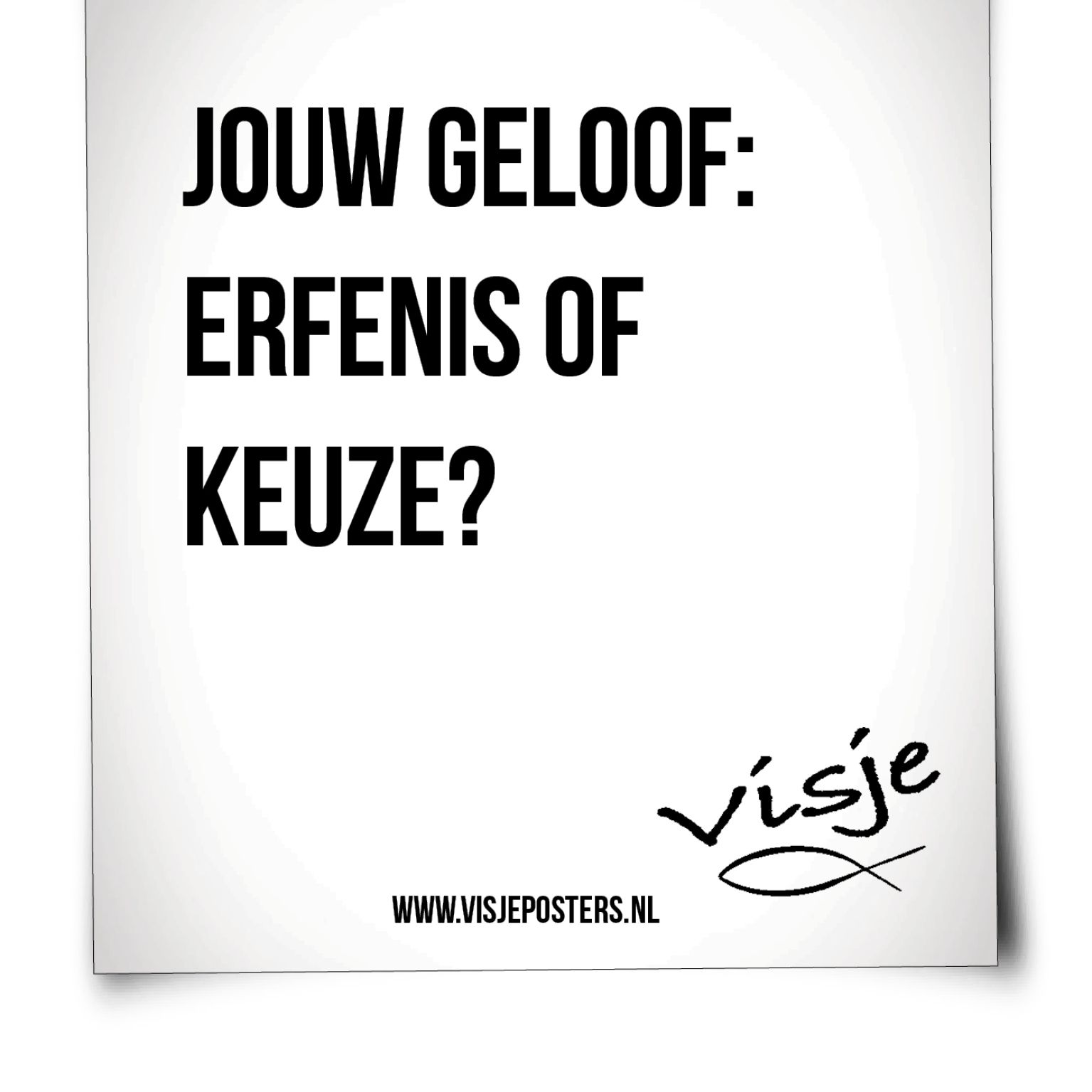 Scheurkalender 365 allerbeste visjes - 9789078893080 -  Kalenders & agenda's bij MajesticAlly