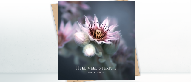 banner STERKTE VERLIES4 d4663011