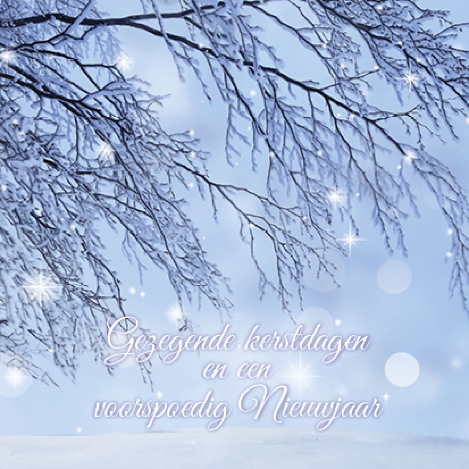 Kerstkaart 'Tak met lichtpuntjes' - MA16008 -  Christelijke kerstkaarten bij MajesticAlly