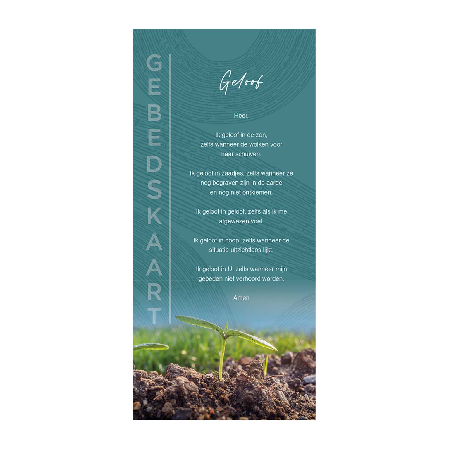 MA24051 Geloof VZ d8d5722b