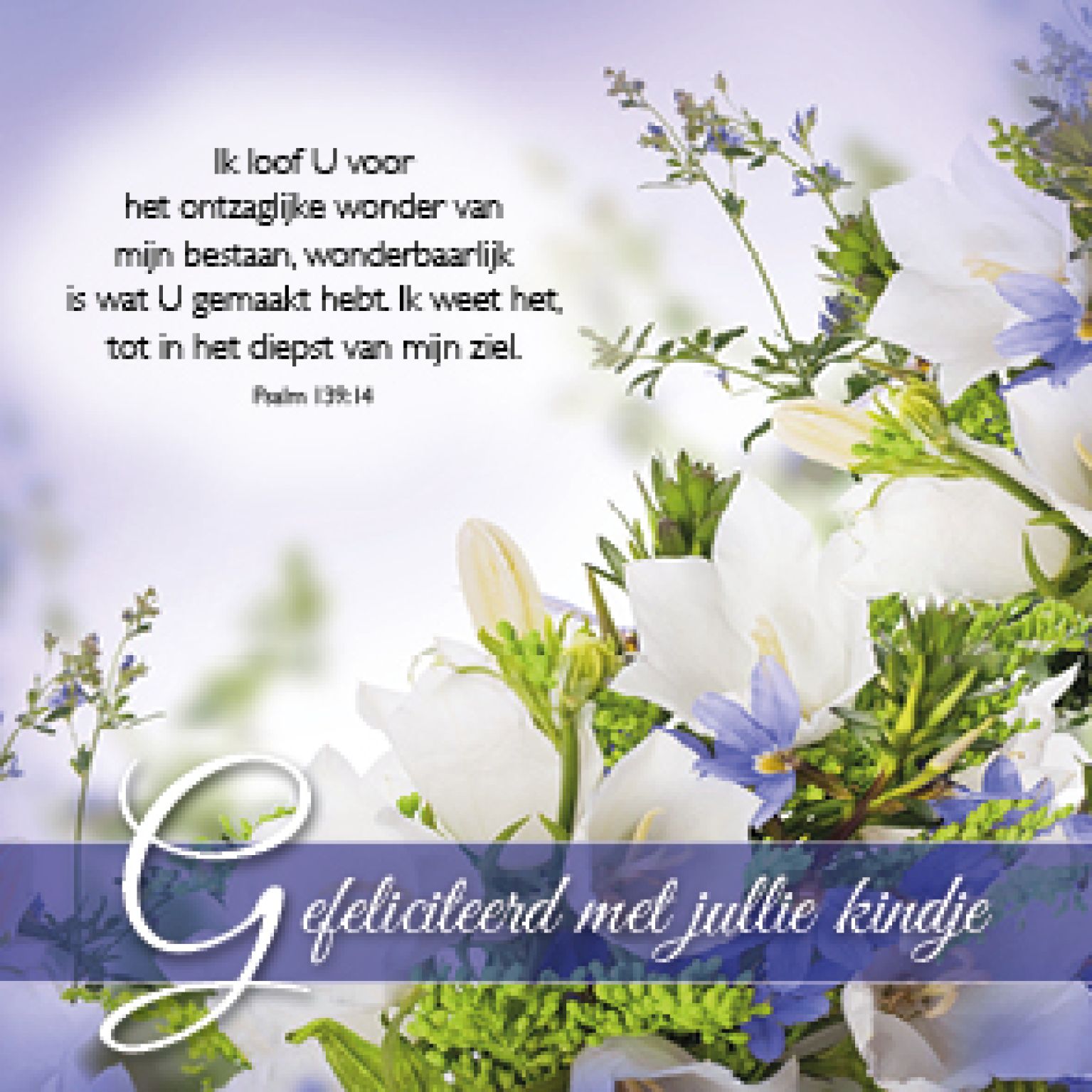 MA46213 Kadokaartje Gefeliciteerd met jullie kindje d83c2556