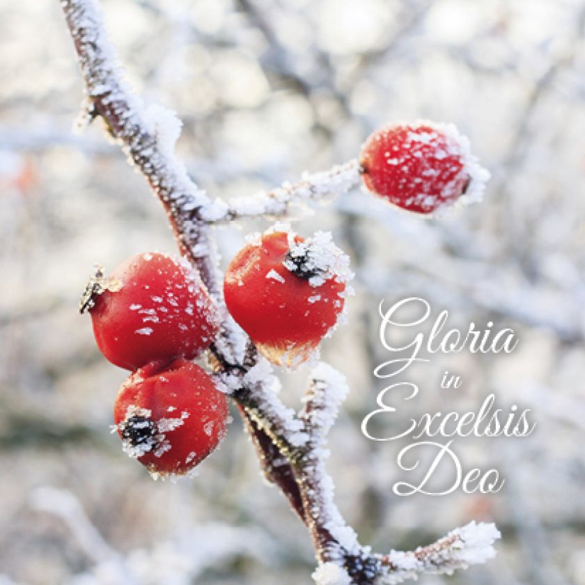 Kerstkaart 'Gloria in Excelsis Deo' - MA16001 -  Christelijke kerstkaarten bij MajesticAlly