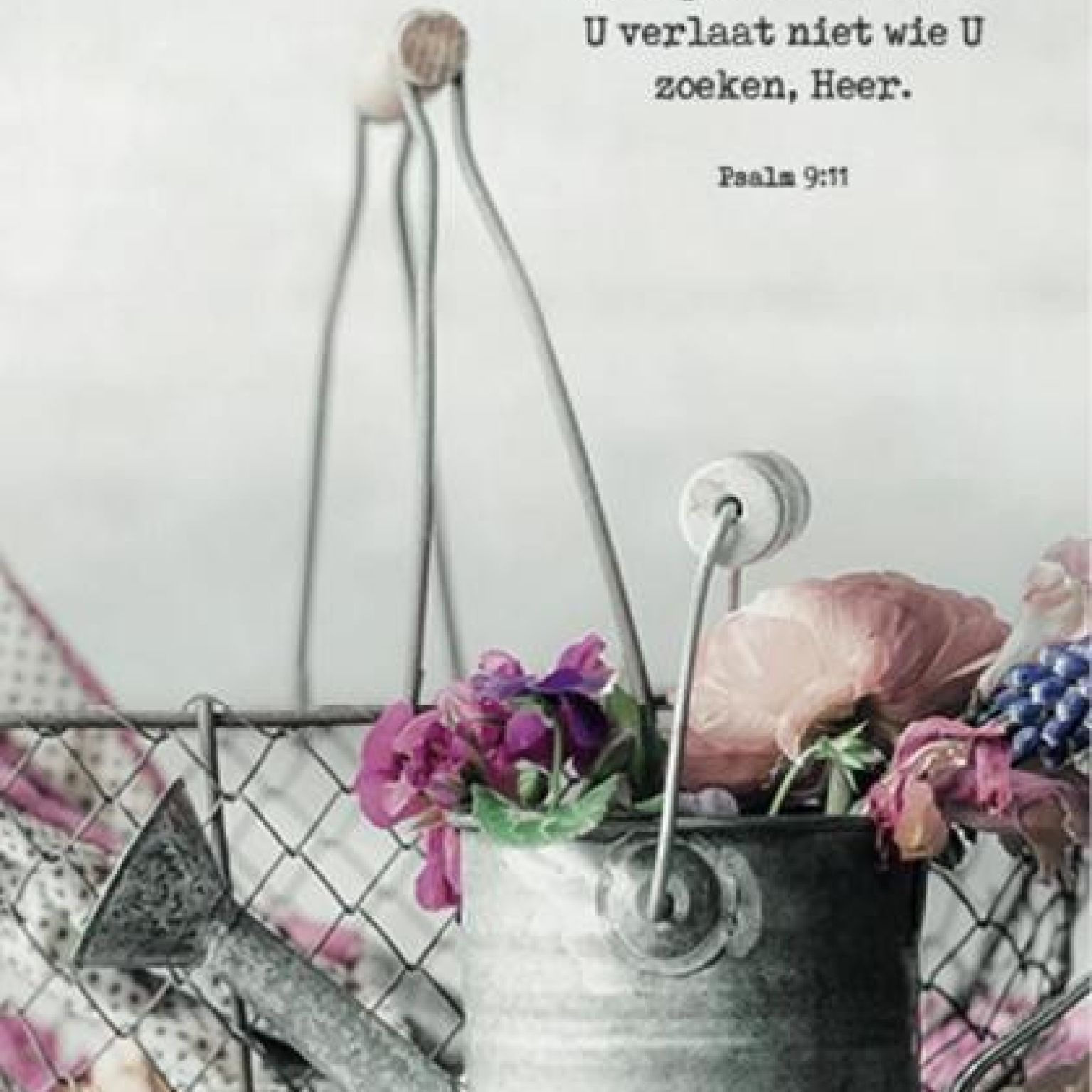 Kaartcadeau 'Wie Uw naam kent' - MA37002 -  Kaarten bij MajesticAlly