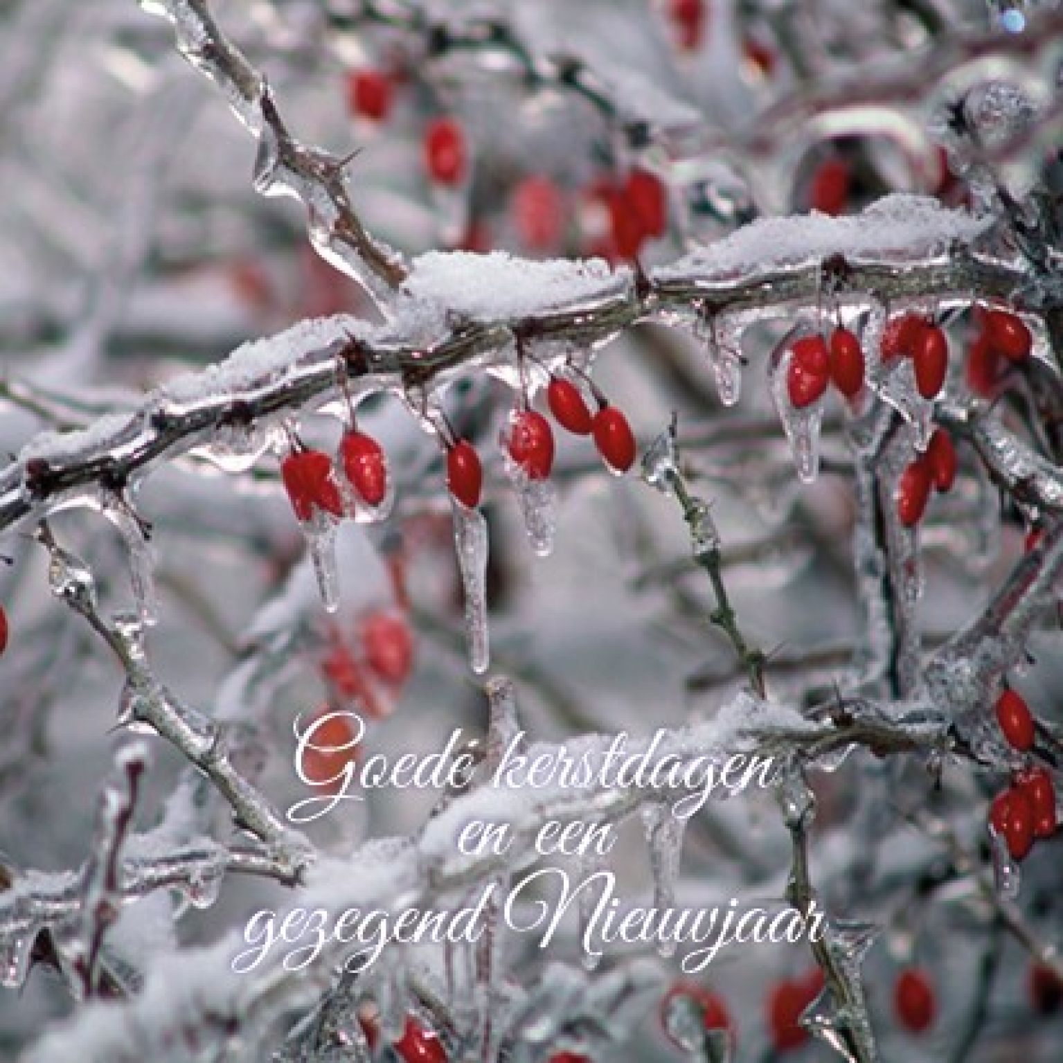 Voordeelpakje kerstkaarten 'Winter' - 6 stuks - MA26058 -  Voordeelpakjes kerst bij MajesticAlly