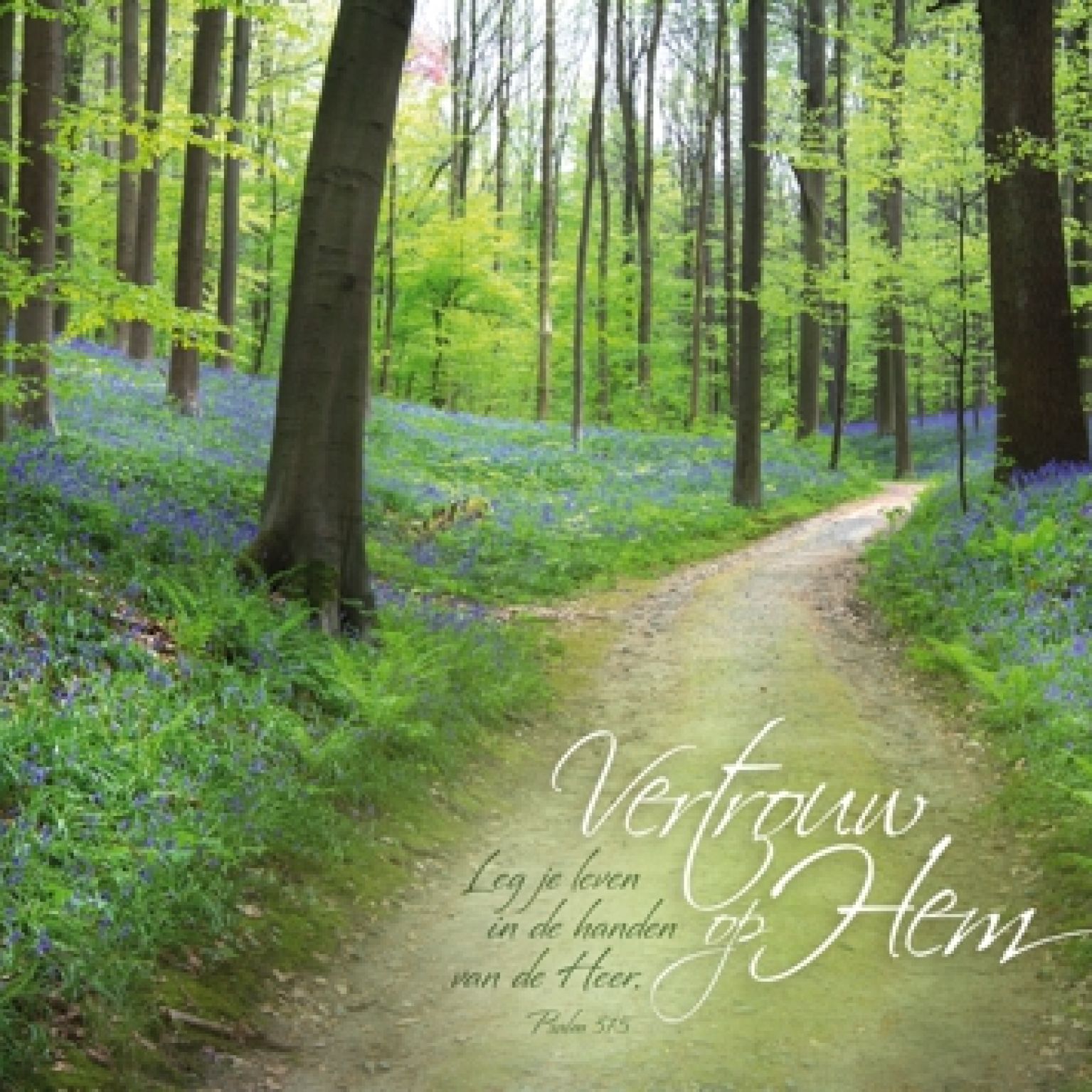 Poster A3 'Vertrouw op Hem' - MA11356 -  Posters A3 bij MajesticAlly