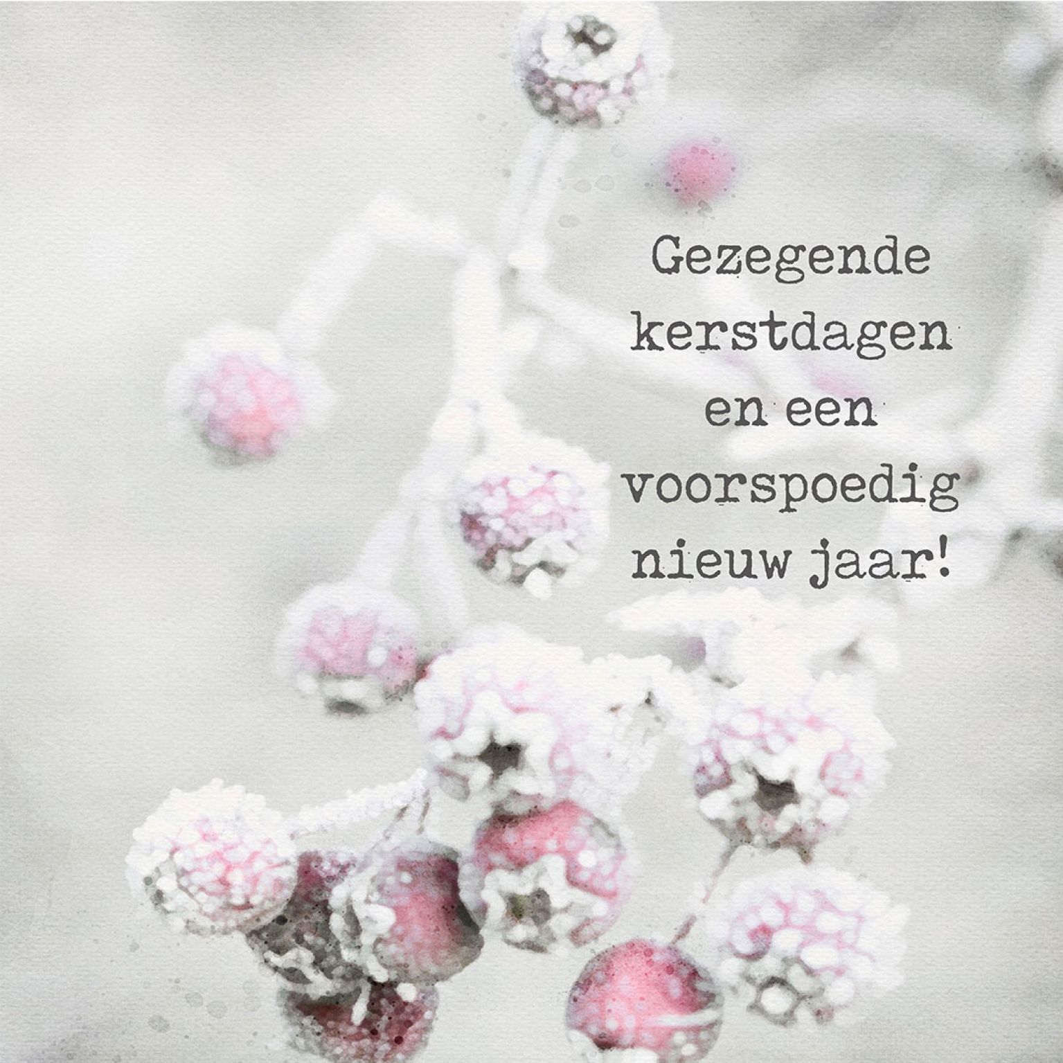 MA41209 - Minikerstkaart 'Besneeuwde besjes'