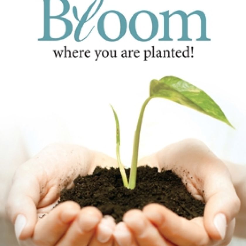 Bloom... - 552535 -  Kaarten bij MajesticAlly