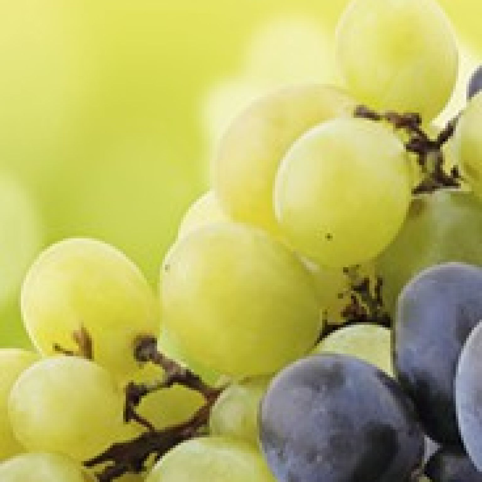 Boekenlegger tg van belijdenis Joh 15:5 - MA15110 -  Lifestyle  bij MajesticAlly