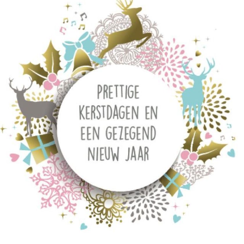 Voordeelpakje kerstkaarten  'Joy 1' - 16 stuks - MA26198 -  Voordeelpakjes kerst bij MajesticAlly