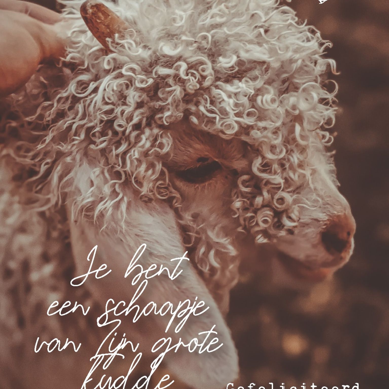 Wenskaart 'Schaapje - doop' - MA44004 -  LUV2022 bij MajesticAlly