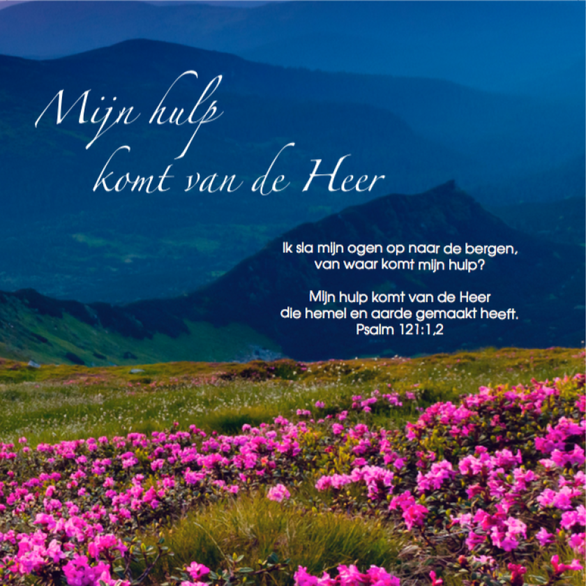 Voordeelpakket 25 Square Prentbriefkaarten - MA46251 -  Voordeelpakjes bij MajesticAlly