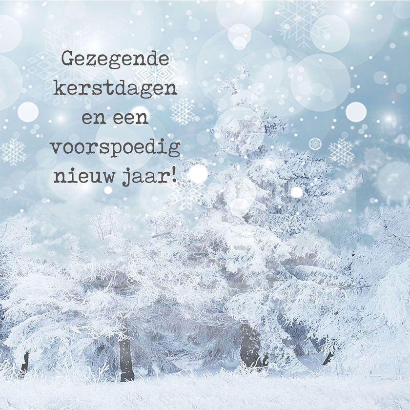 MA41222 - Minikerstkaart 'IJskristallen'