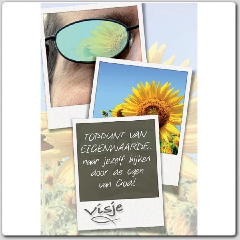 * Voordeelpakket 20 Visje wenskaarten - 46925 -  Pakjes kaarten bij MajesticAlly