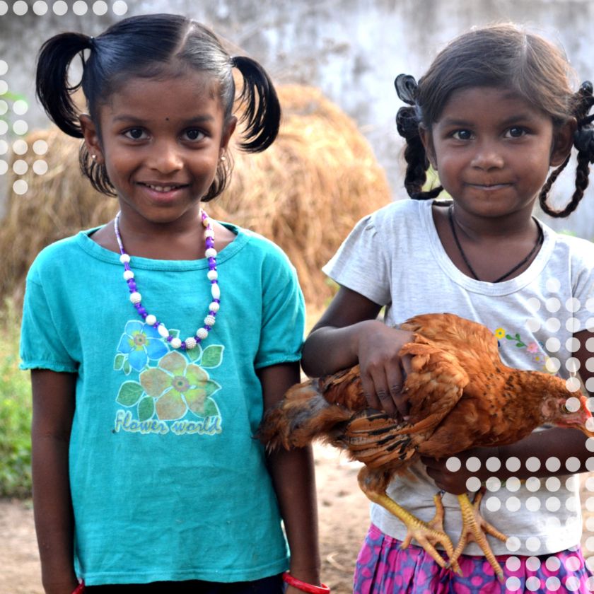 dsc 0051 dots scaled e06387e6