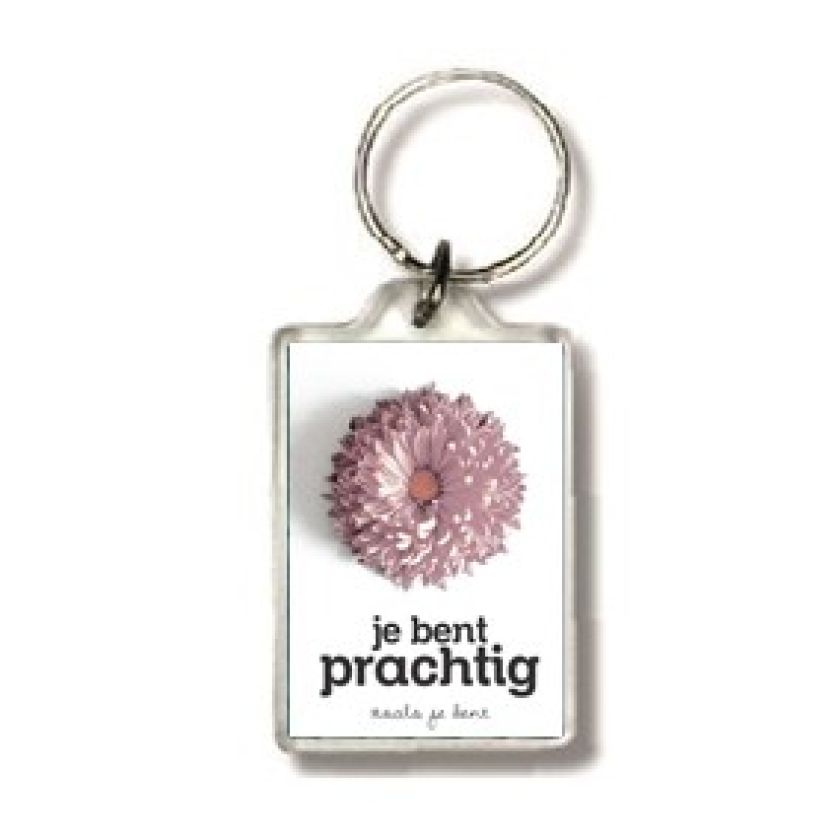 Sleutelhanger Je bent prachtig - 552573SL -  Sleutelhangers bij MajesticAlly