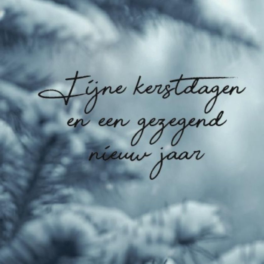 Kerstkaart 'Wintertakken' - MA26212 -  Christelijke kerstkaarten bij MajesticAlly