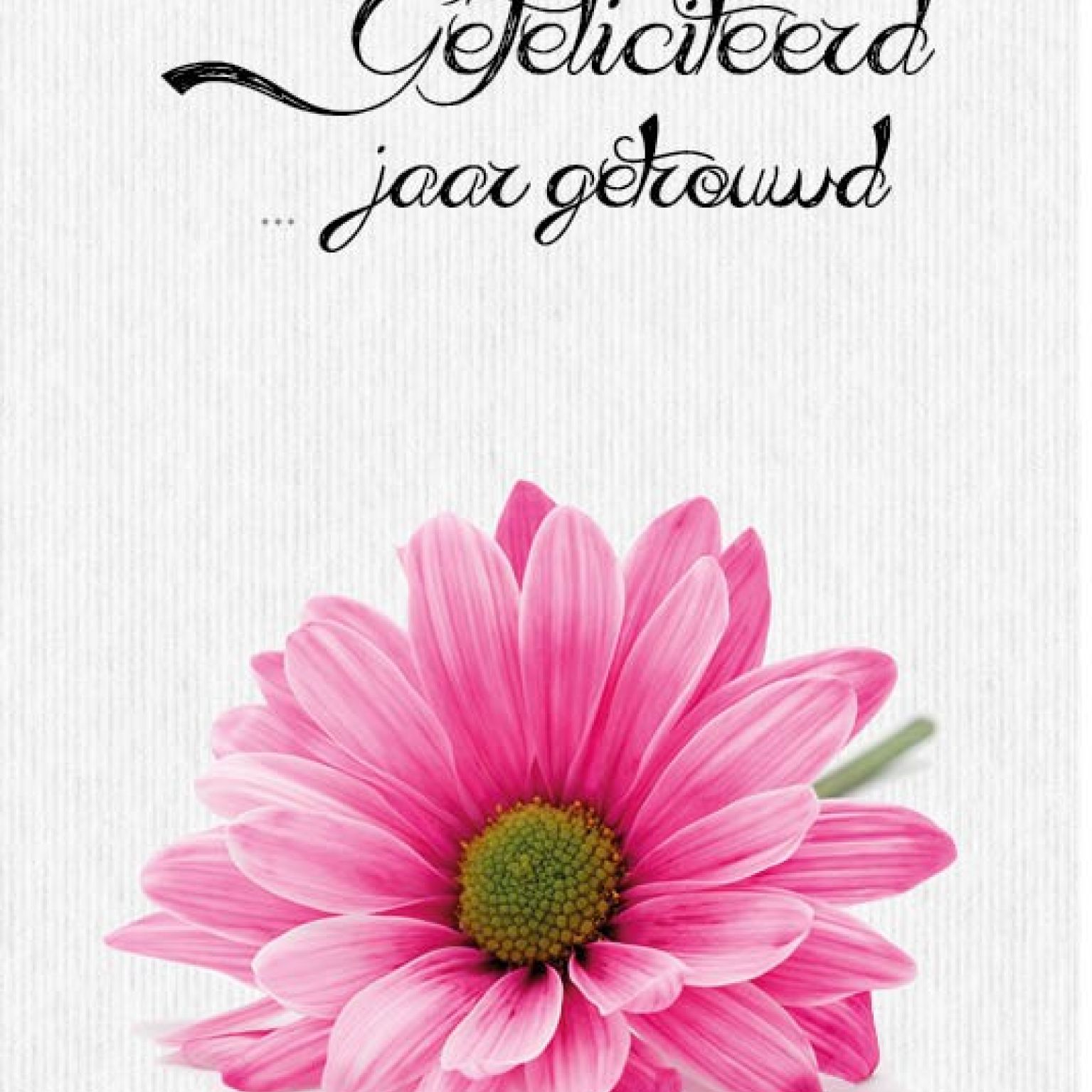 Kaart '...jaar getrouwd' - MA17058 -  Leef!  bij MajesticAlly