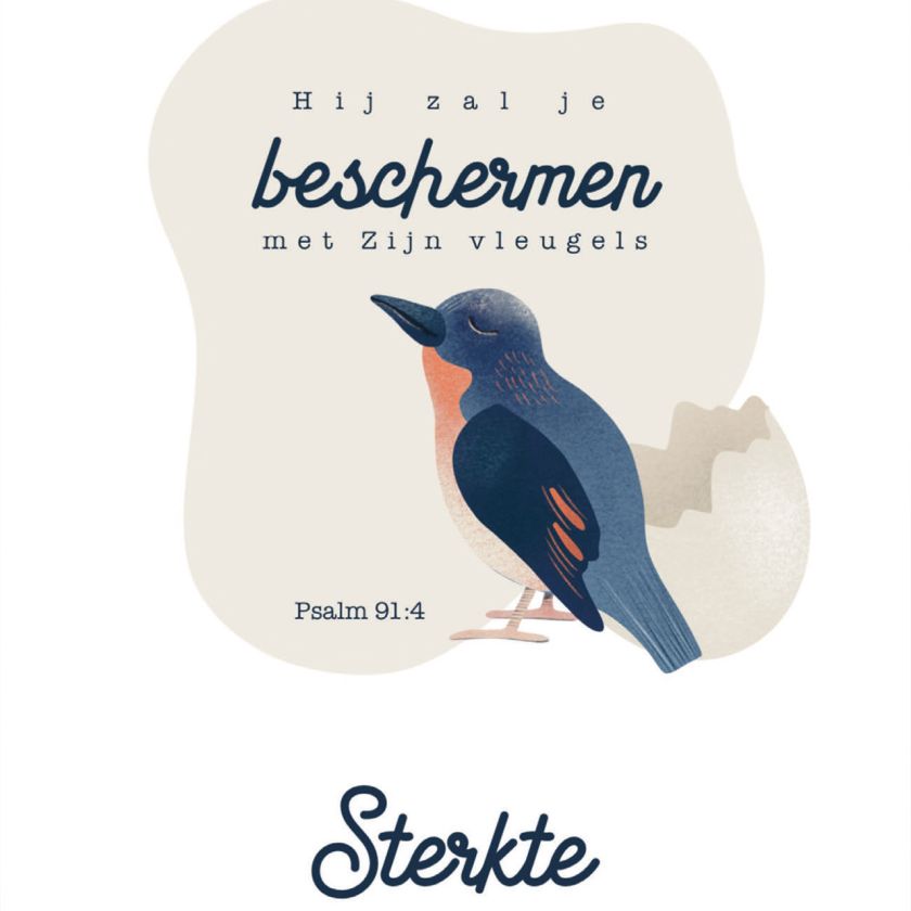Kaart 'Sterkte - Hij zal je beschermen met Zijn vleugels (Psalm 91:4)