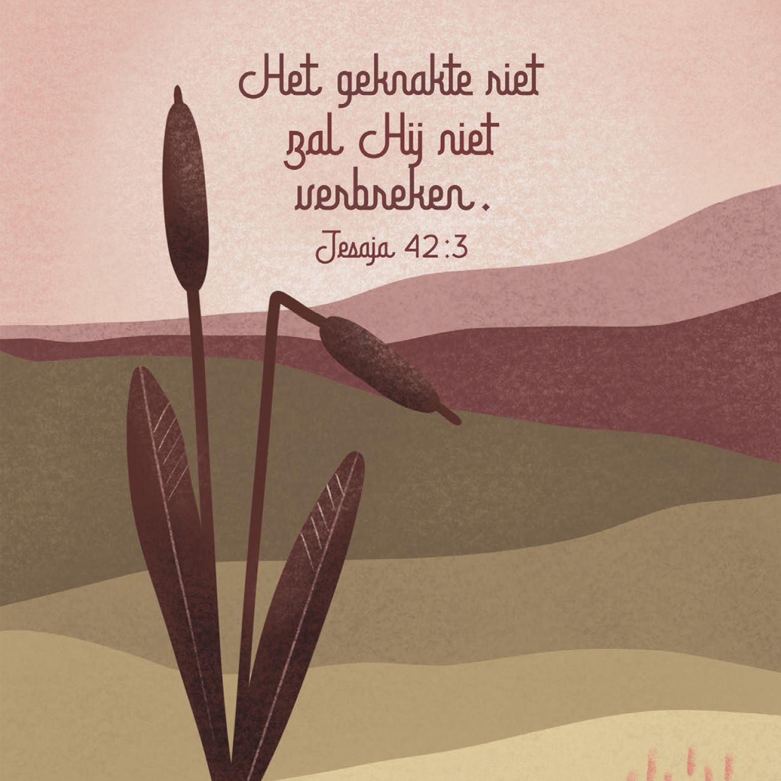 Kaart '"Het geknakte riet zal Hij niet verbreken." -Jesaja 42:3. Sterkte!'