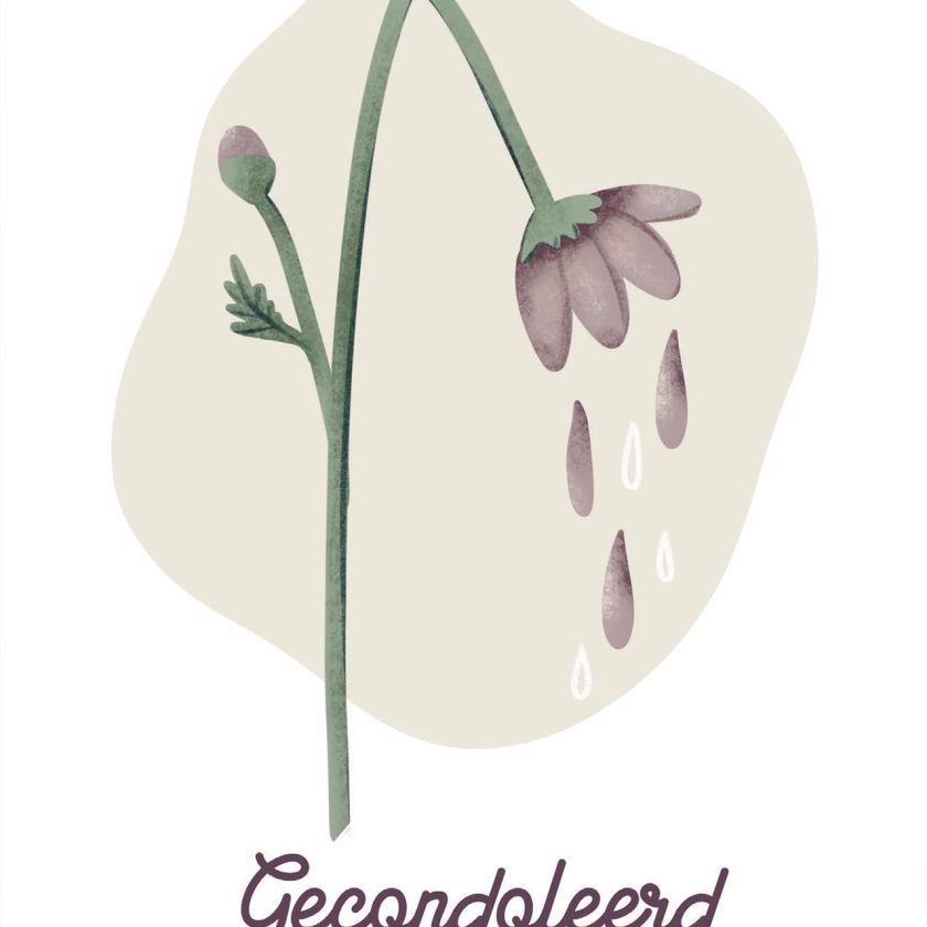 Kaart 'Gecondoleerd' met geknakte bloem