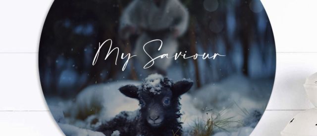 my saviour 2 edc27916