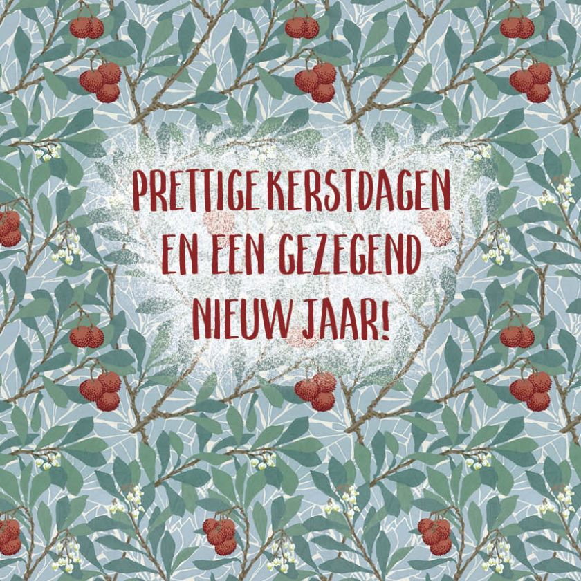 Prettige kerstdagen en een voorspoedig nieuw jaar