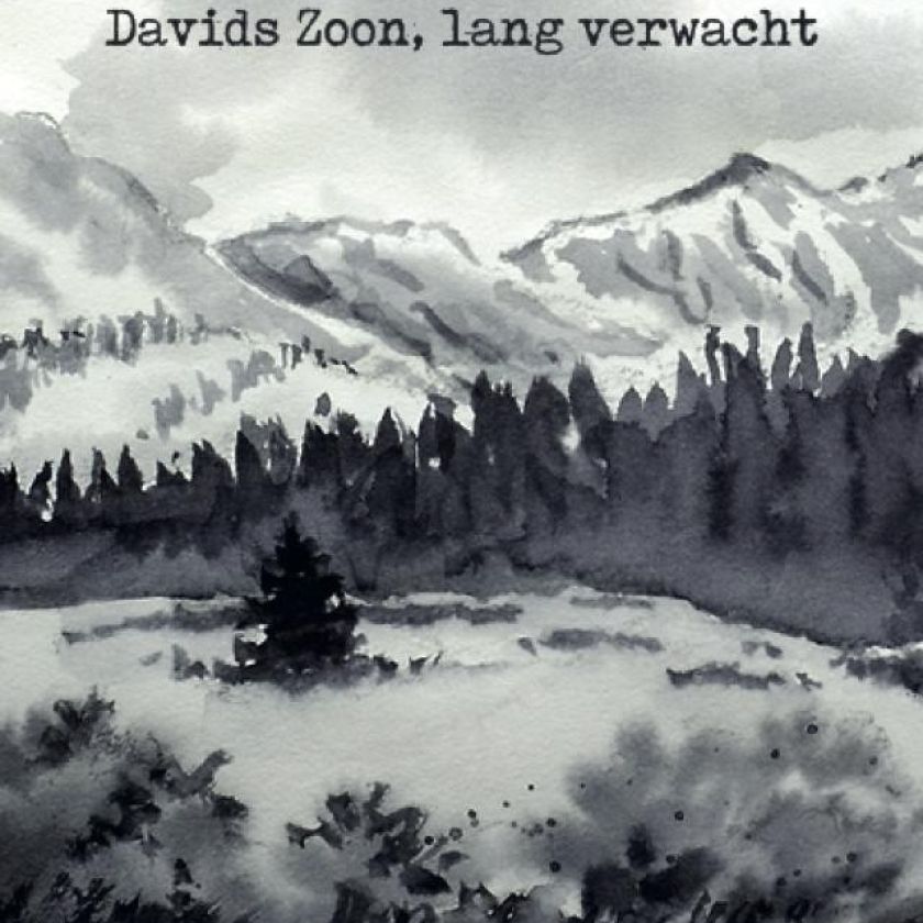 Voordeelpakje kerstkaarten  'Joy 1' - 16 stuks - MA26198 -  Voordeelpakjes kerst bij MajesticAlly