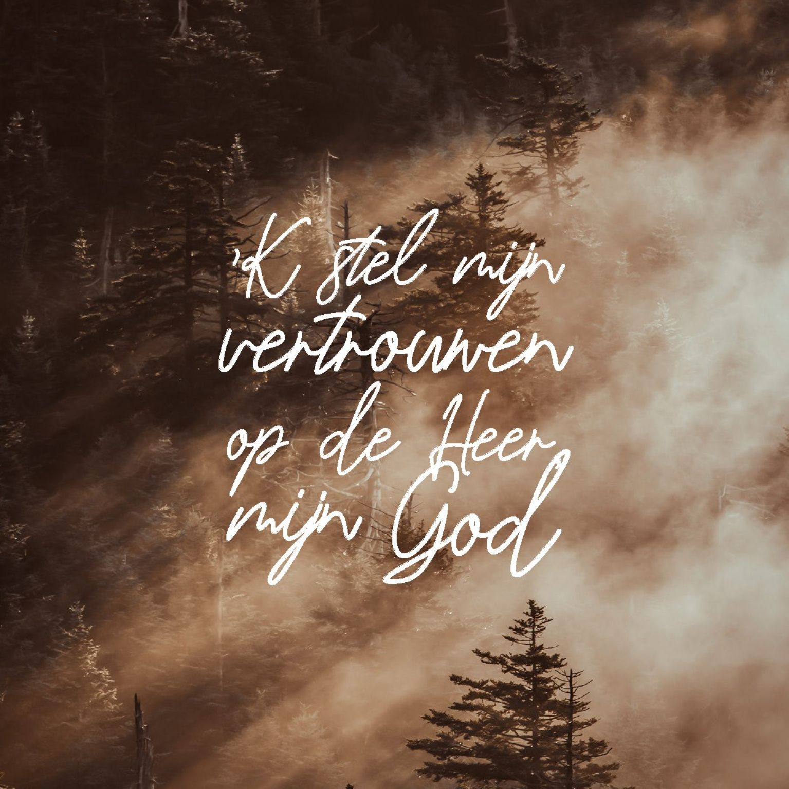 Interieurbord 'k stel mijn vertrouwen' - MA44102 -  Interieurborden bij MajesticAlly