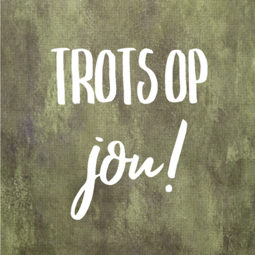 Wenskaart 'Trots op jou' - MA43019 -  Courage bij MajesticAlly