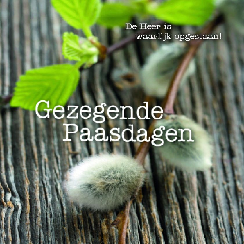 kaart ’Gezegende Paasdagen ‘ De Heer is waarlijk opgestaan' - MA12314 -  Pasen bij MajesticAlly