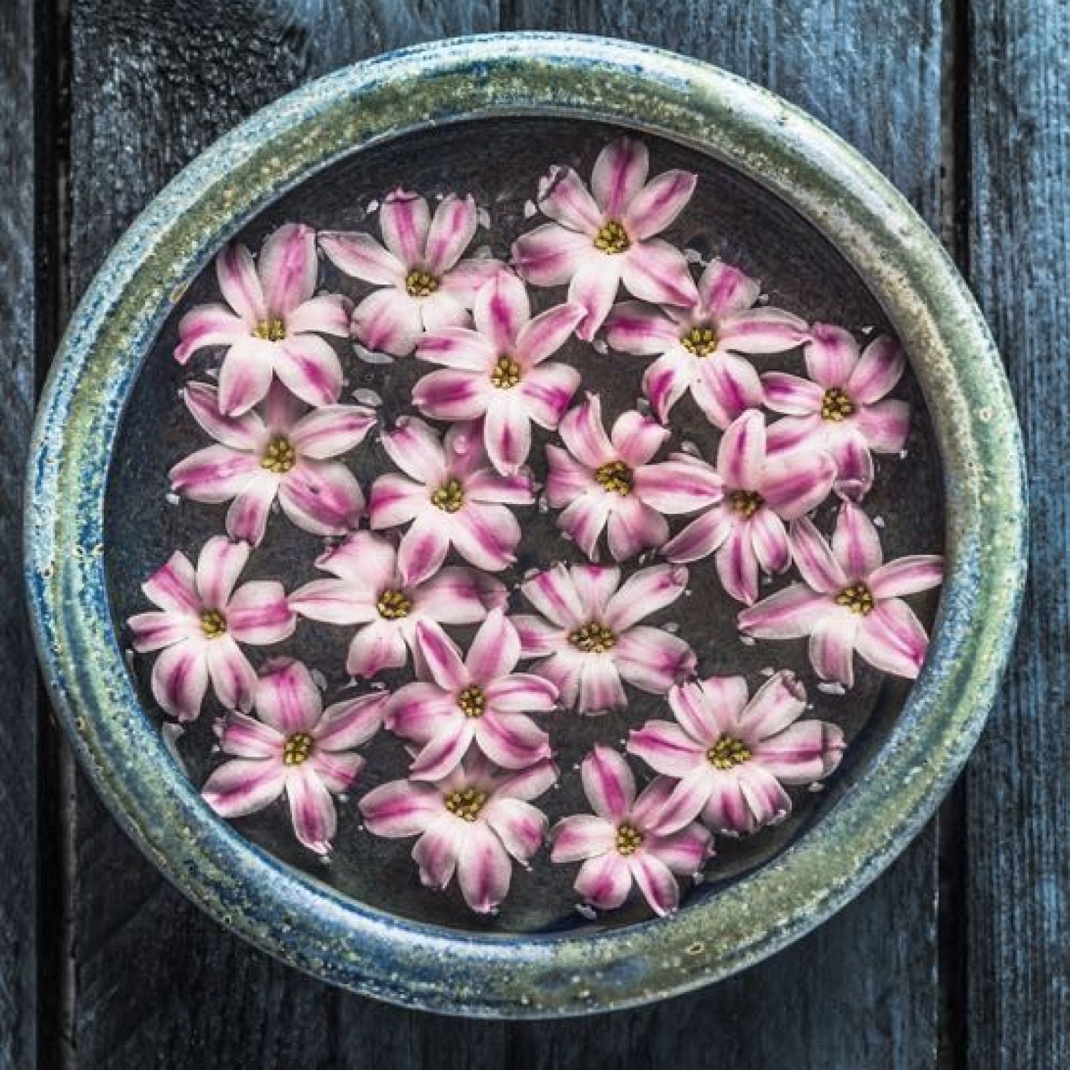 Kaart 'Schaal met bloemen' - MA40002 -  Landelijk bij MajesticAlly