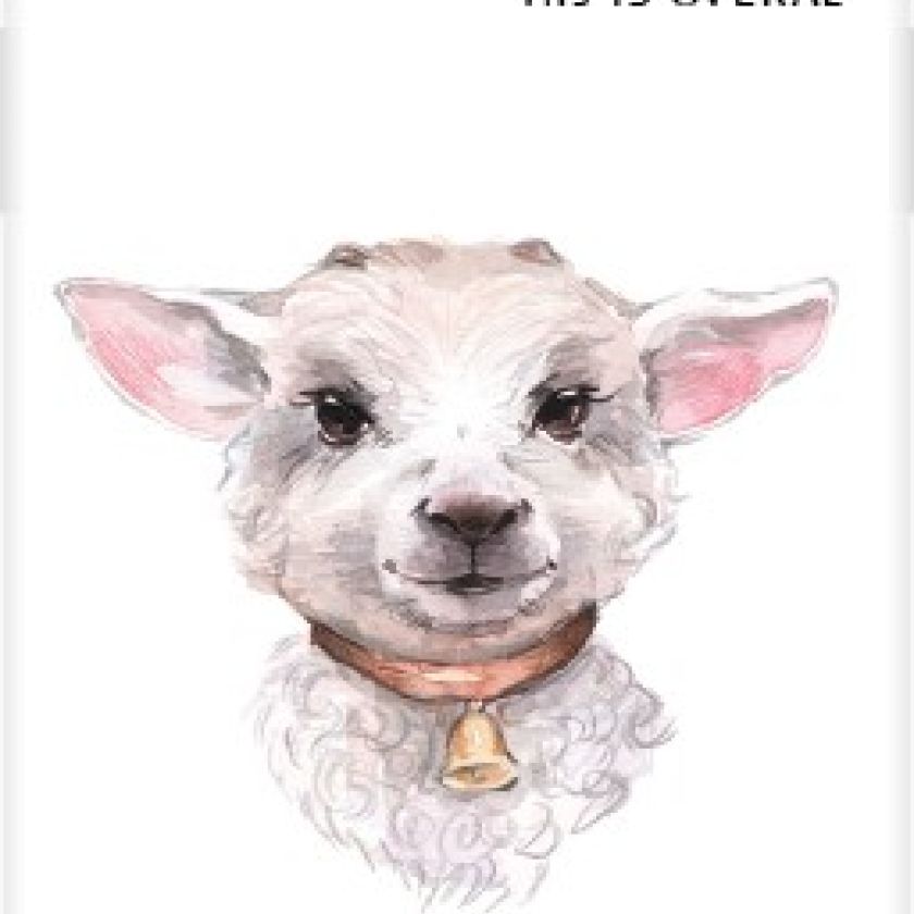 Boekenlegger lammetje Jezus is de goede - MA25201 -  Boekenleggers bij MajesticAlly