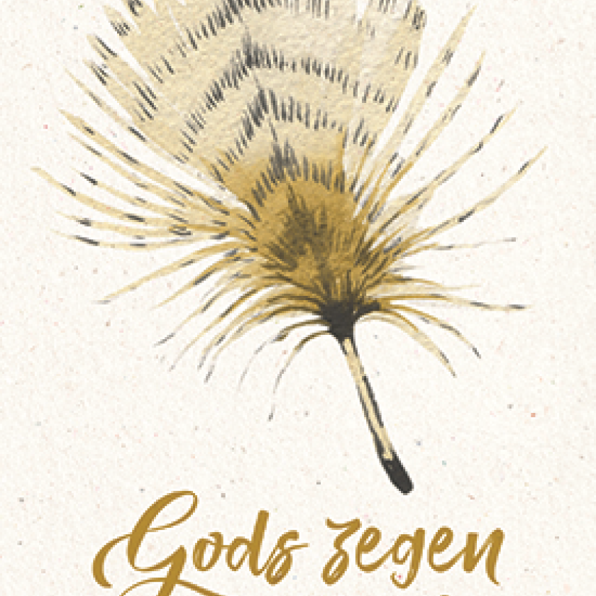 Gods zegen voor jou! - 552850 -  Kaarten bij MajesticAlly