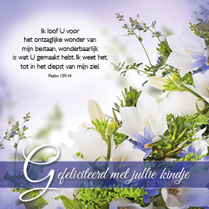 MA46213 Kadokaartje Gefeliciteerd met jullie kindje