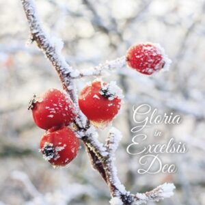 Voordeelpakje kerstkaarten 'Frozen 1' - 6 stuks - MA26057 -  Voordeelpakjes kerst bij MajesticAlly