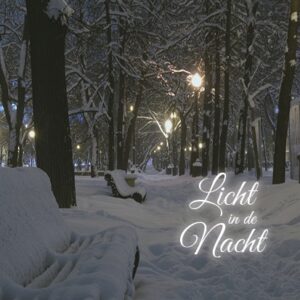 Voordeelpakje kerstkaarten 'Winter' - 6 stuks - MA26058 -  Voordeelpakjes kerst bij MajesticAlly