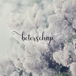 Kaart 'Beterschap - Seringen' - MA34001 -  Stille momenten bij MajesticAlly