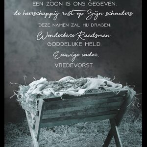 Kerstkaart pakket 'Een kind is ons geboren - kribbe' - 25 stuks - MA16050P -  Grote pakketten  bij MajesticAlly