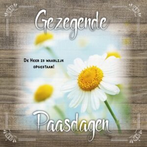Kaart 'Gezegende paasdagen - margrietjes' - MA19048 -  Brocante bij MajesticAlly
