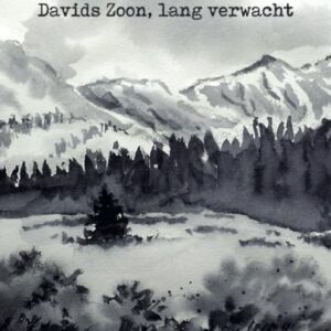 Kerstkaart 'Stille nacht - bergen' - MA26207 -  Christelijke kerstkaarten bij MajesticAlly