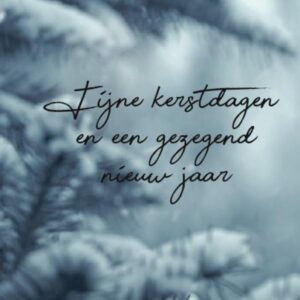 Kerstkaart 'Wintertakken' - MA26212 -  Christelijke kerstkaarten bij MajesticAlly